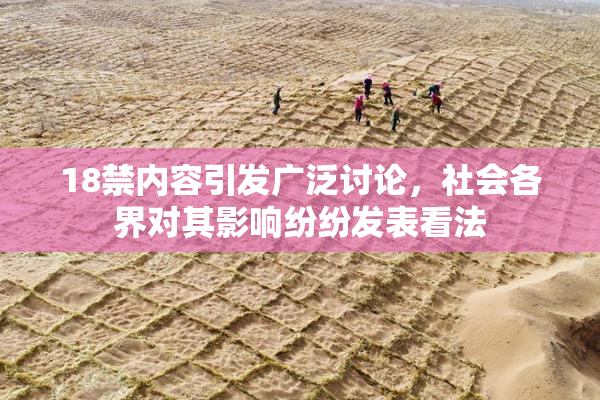 18禁内容引发广泛讨论，社会各界对其影响纷纷发表看法