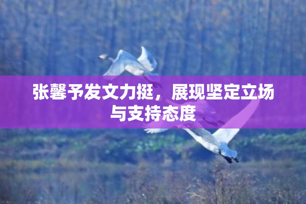张馨予发文力挺，展现坚定立场与支持态度