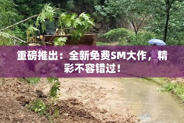 重磅推出：全新免费SM大作，精彩不容错过！