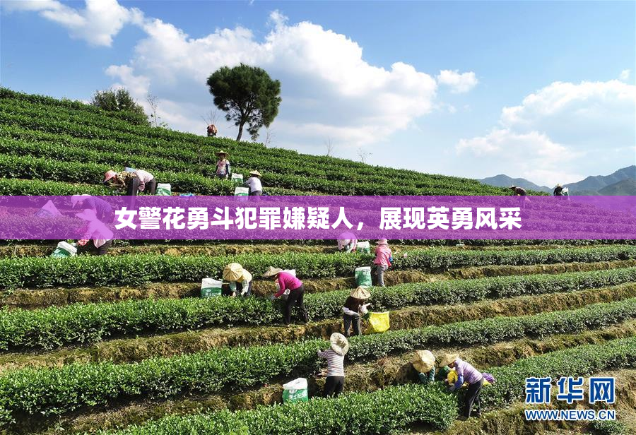女警花勇斗犯罪嫌疑人，展现英勇风采