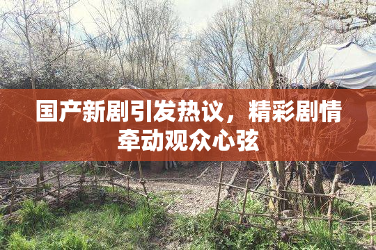 国产新剧引发热议，精彩剧情牵动观众心弦