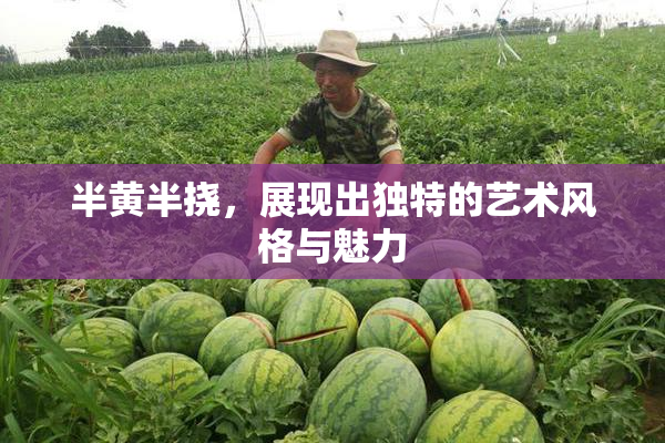 半黄半挠，展现出独特的艺术风格与魅力