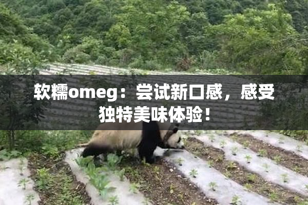 软糯omeg：尝试新口感，感受独特美味体验！
