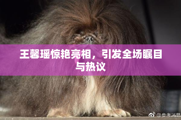 王馨瑶惊艳亮相，引发全场瞩目与热议