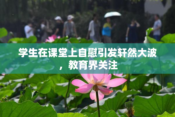 学生在课堂上自慰引发轩然大波，教育界关注