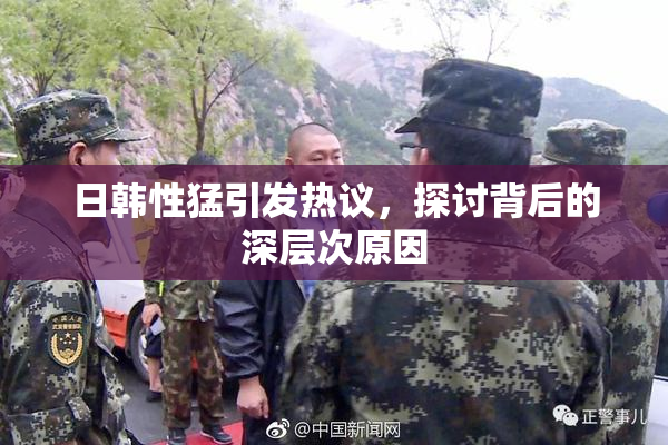 日韩性猛引发热议，探讨背后的深层次原因