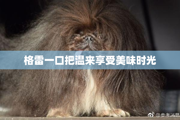 格雷一口把温来享受美味时光
