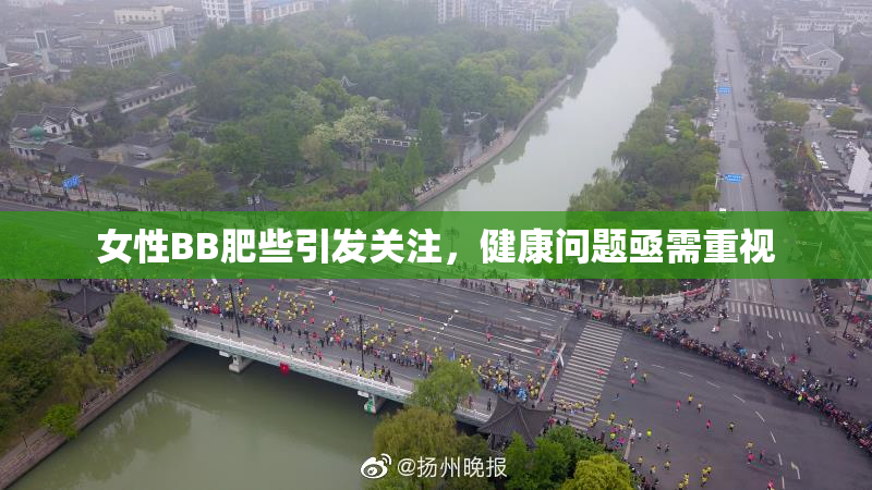 女性BB肥些引发关注，健康问题亟需重视