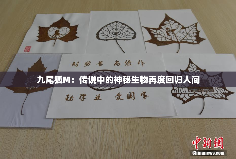 九尾狐M：传说中的神秘生物再度回归人间