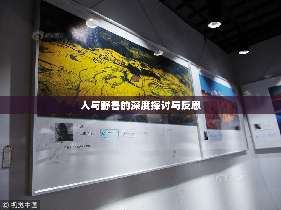 人与野鲁的深度探讨与反思