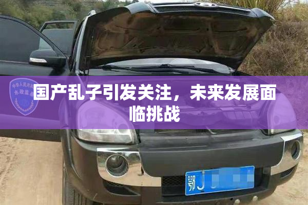 国产乱子引发关注，未来发展面临挑战