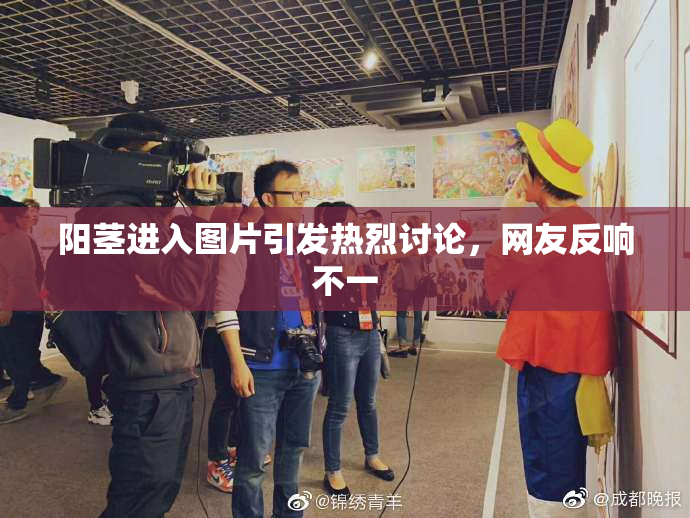 阳茎进入图片引发热烈讨论，网友反响不一
