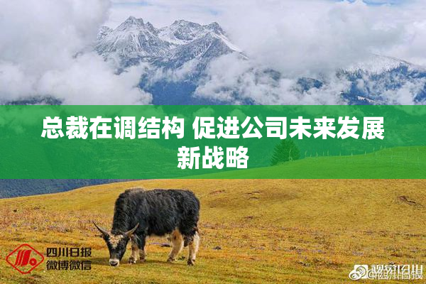 总裁在调结构 促进公司未来发展新战略