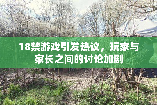 18禁游戏引发热议，玩家与家长之间的讨论加剧
