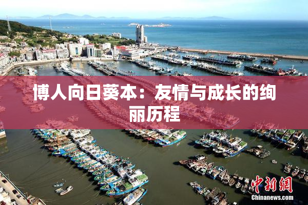 博人向日葵本：友情与成长的绚丽历程