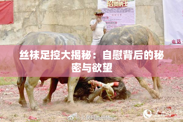 丝袜足控大揭秘：自慰背后的秘密与欲望