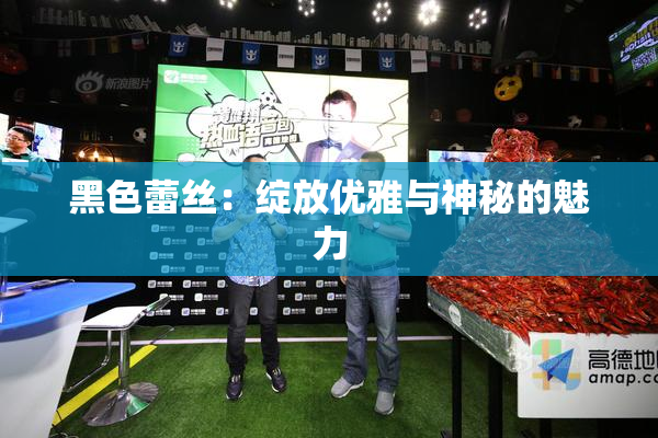 黑色蕾丝：绽放优雅与神秘的魅力