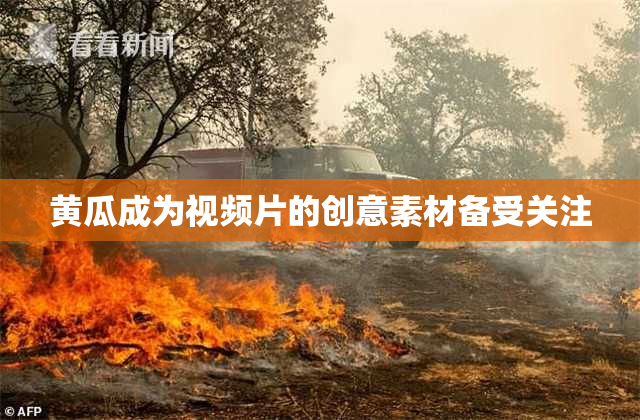 黄瓜成为视频片的创意素材备受关注