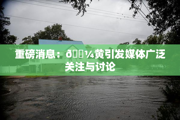 重磅消息：🌼黄引发媒体广泛关注与讨论