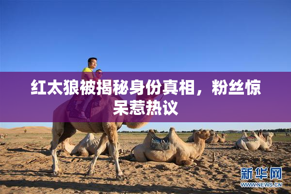 红太狼被揭秘身份真相，粉丝惊呆惹热议