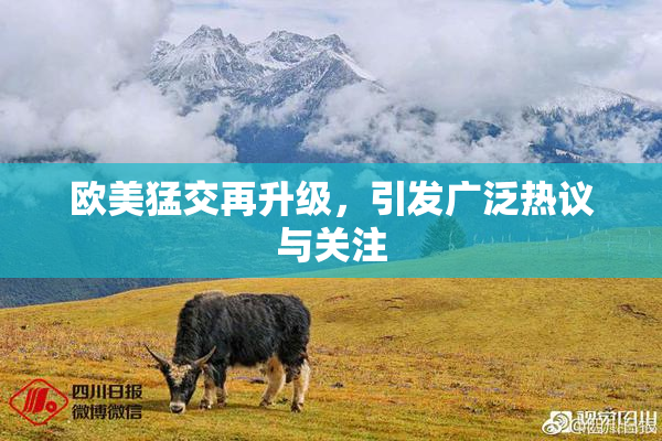 欧美猛交再升级，引发广泛热议与关注