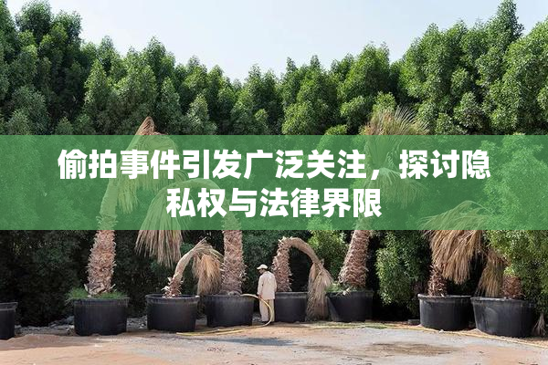 偷拍事件引发广泛关注，探讨隐私权与法律界限