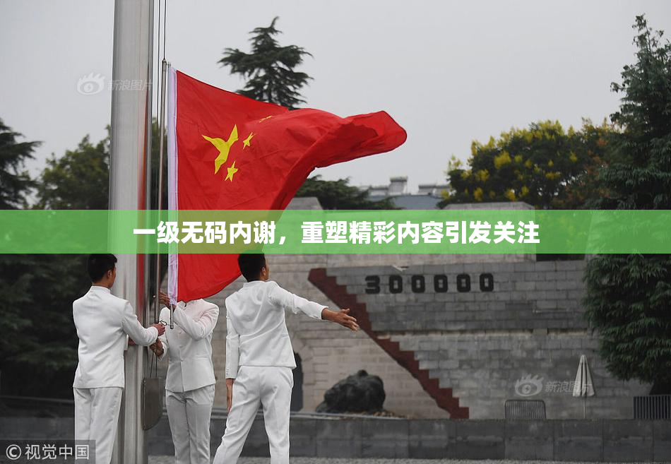 一级无码内谢，重塑精彩内容引发关注