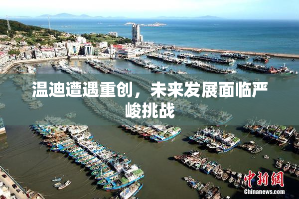 温迪遭遇重创，未来发展面临严峻挑战