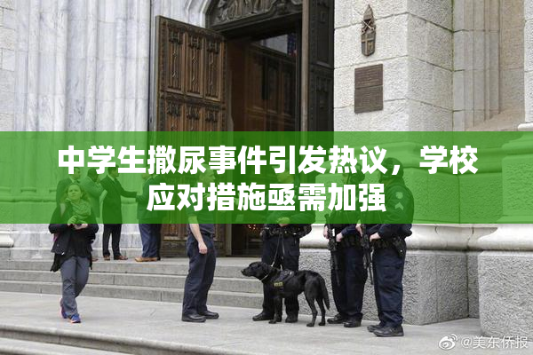 中学生撒尿事件引发热议，学校应对措施亟需加强