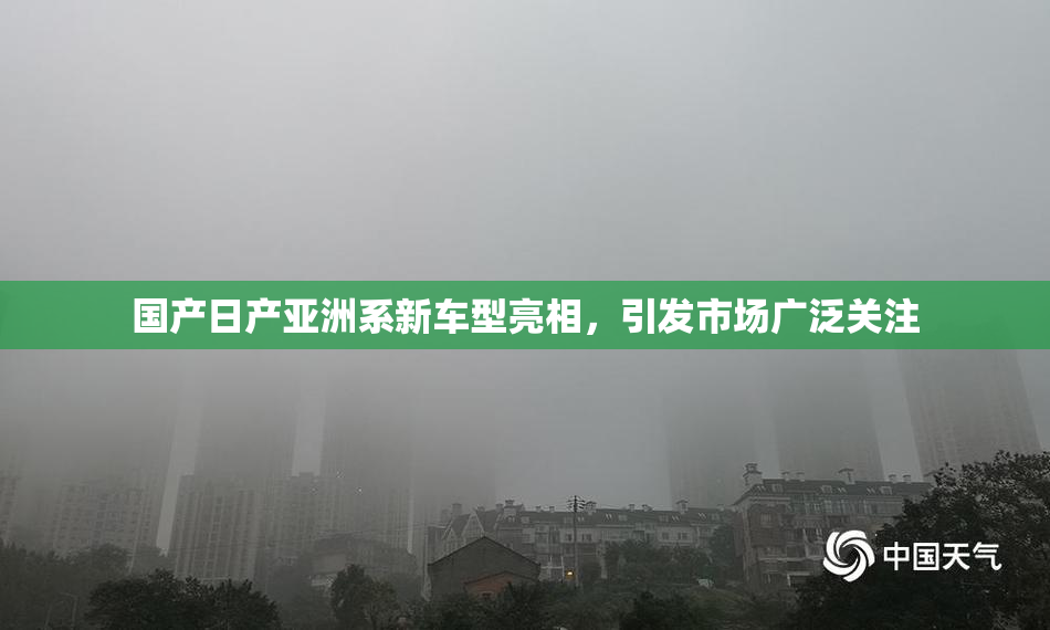 国产日产亚洲系新车型亮相，引发市场广泛关注