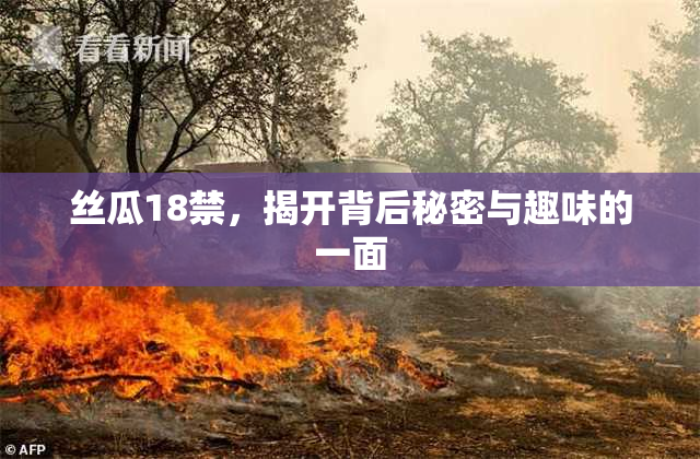 丝瓜18禁，揭开背后秘密与趣味的一面