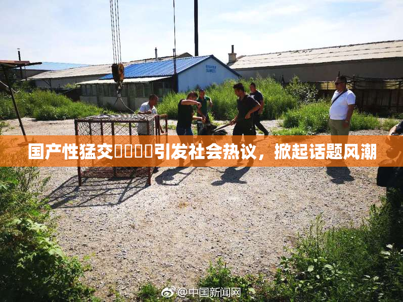 国产性猛交❌‌❌‌引发社会热议，掀起话题风潮