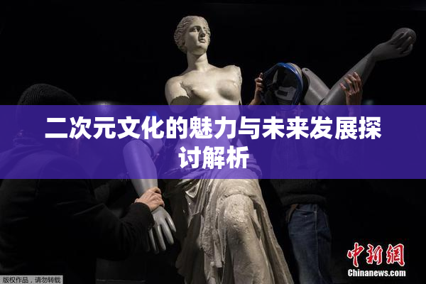 二次元文化的魅力与未来发展探讨解析