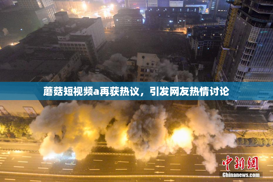 蘑菇短视频a再获热议，引发网友热情讨论