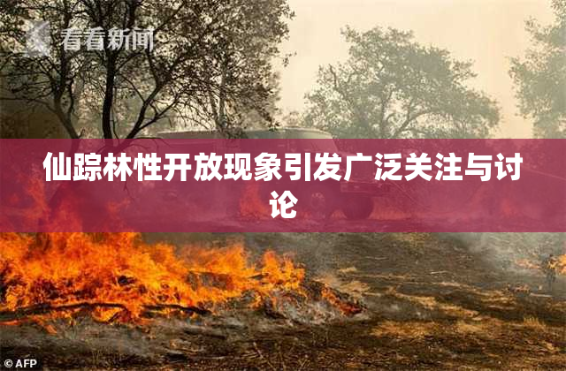 仙踪林性开放现象引发广泛关注与讨论
