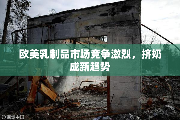 欧美乳制品市场竞争激烈，挤奶成新趋势