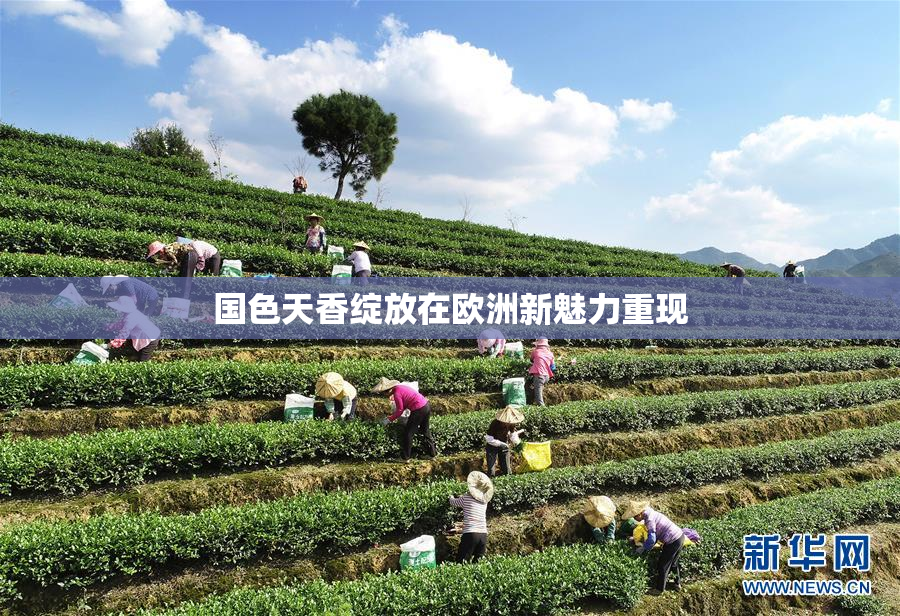 国色天香绽放在欧洲新魅力重现