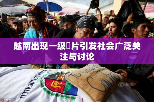 越南出现一级婬片引发社会广泛关注与讨论