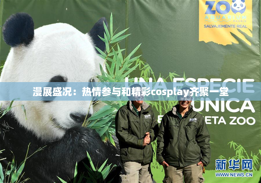 漫展盛况：热情参与和精彩cosplay齐聚一堂