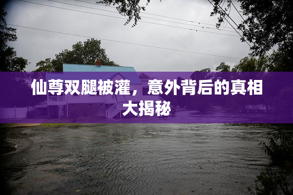 仙尊双腿被灌，意外背后的真相大揭秘