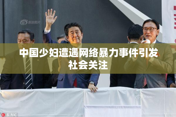 中国少妇遭遇网络暴力事件引发社会关注