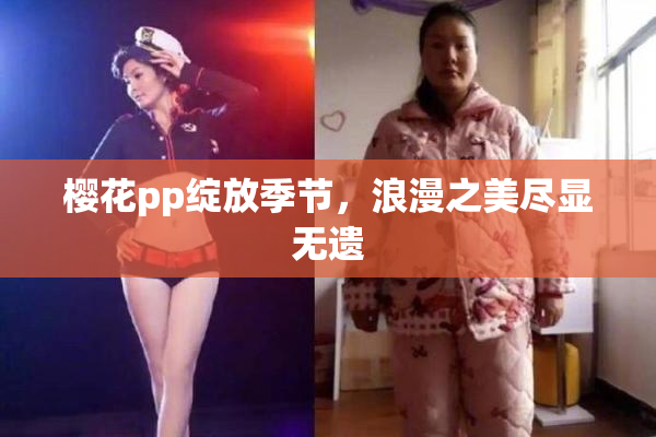 樱花pp绽放季节，浪漫之美尽显无遗
