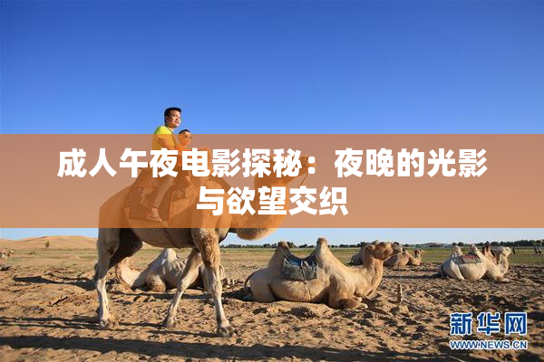 成人午夜电影探秘：夜晚的光影与欲望交织
