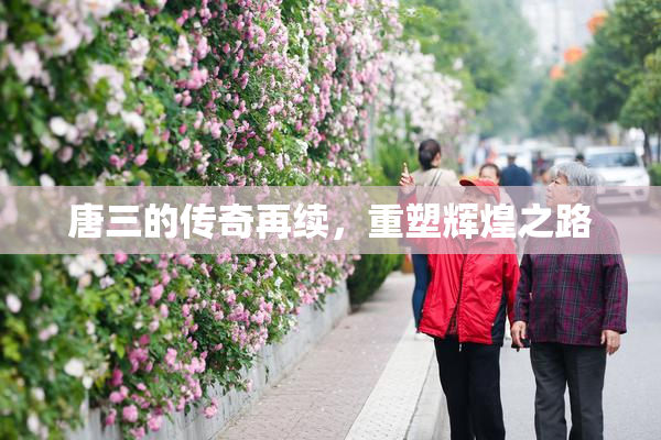 唐三的传奇再续，重塑辉煌之路