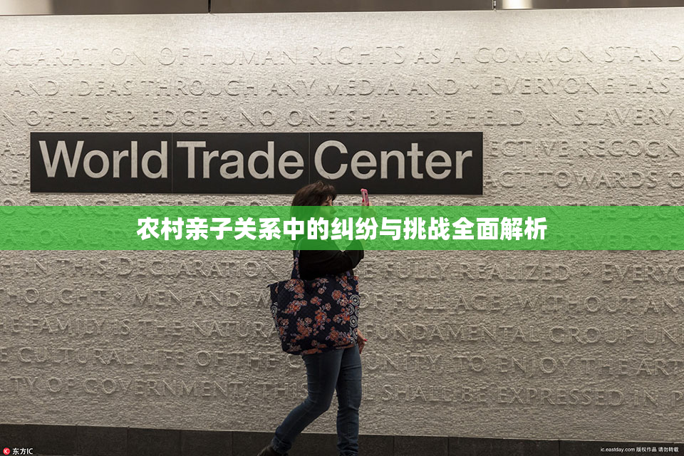 农村亲子关系中的纠纷与挑战全面解析