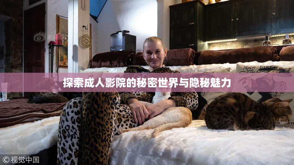 探索成人影院的秘密世界与隐秘魅力