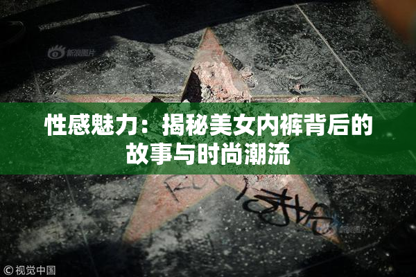 性感魅力：揭秘美女内裤背后的故事与时尚潮流