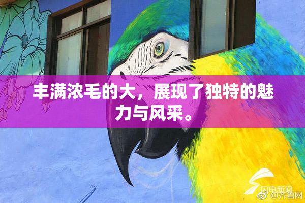 丰满浓毛的大，展现了独特的魅力与风采。