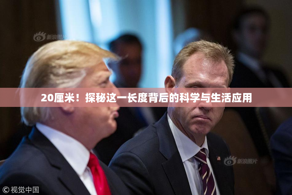 20厘米！探秘这一长度背后的科学与生活应用