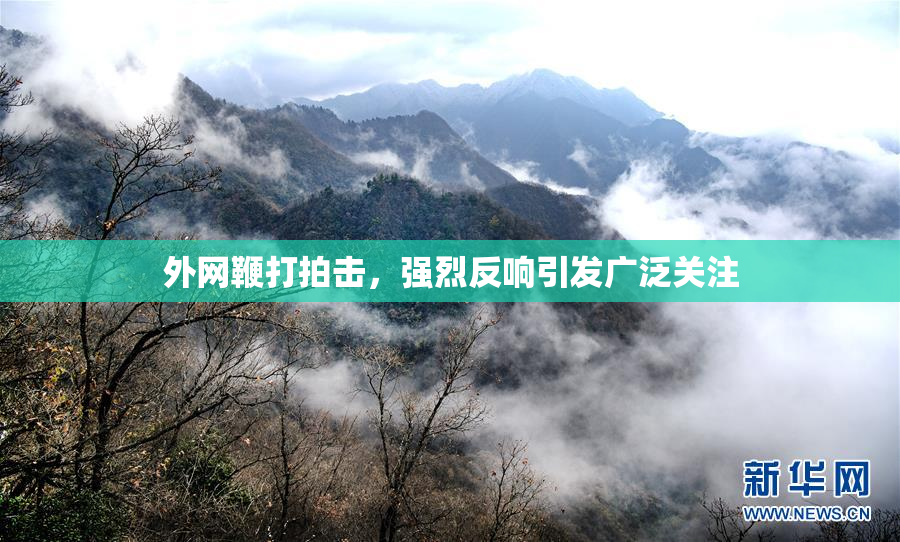 外网鞭打拍击，强烈反响引发广泛关注